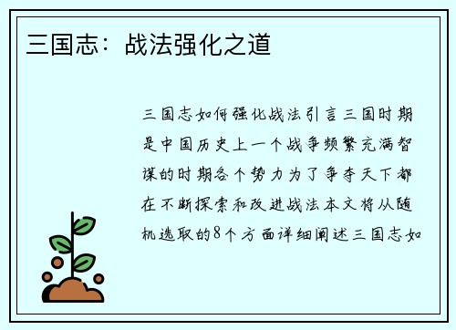 三国志：战法强化之道